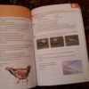 Radna sveska iz biologije za 6 razred osnovne skole