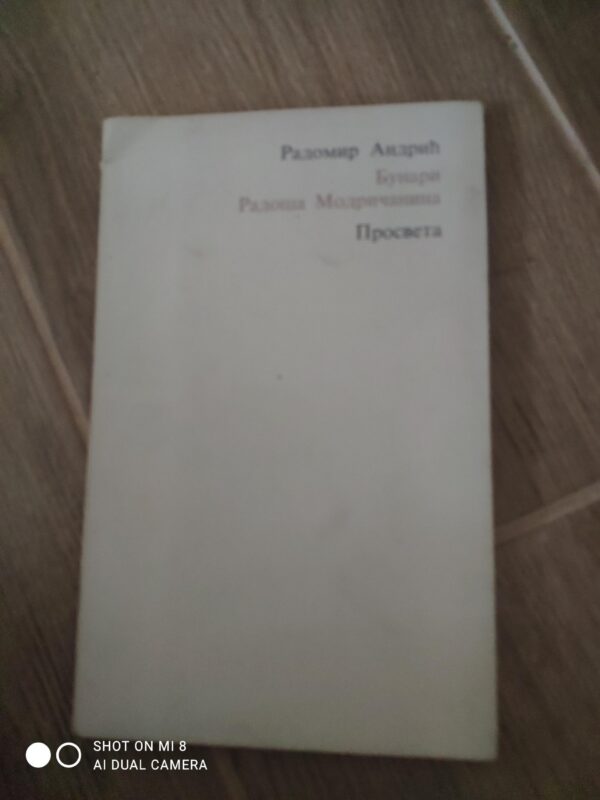 Bunari Radosa Modricanina - Radomir Andric
