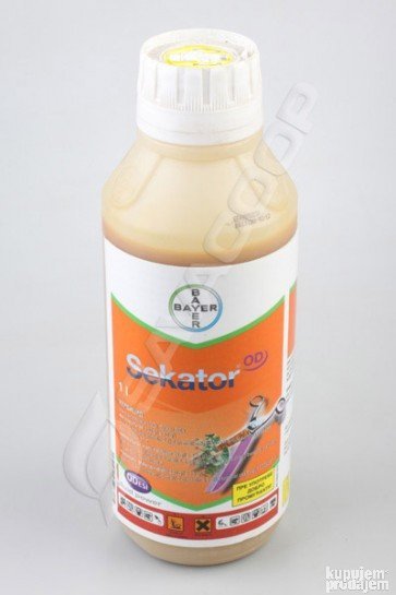 111065712_603382a5cf70e1-87650475sekator.jpg Sekator
