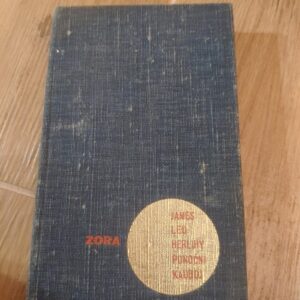 Ponocni Kauboj - James Leo Herlihy