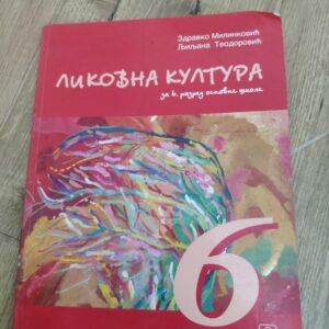 Likovna Kultura za 6 razred osnovne skole