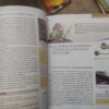 Istorija za 6 razred osnovne skole