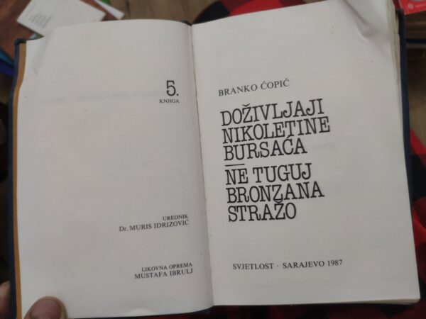 Ne tuguj bronzana strazo - dozivljaji Nikoletine Bursaca