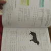 125242837_6640ad9f6c2a09-73533211IMG_20240512_12.webp Matematika udzbenik za 3 razred osnovne skole 1-2-3 deo