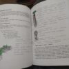 125597348_61785de94bb261-02086566IMG_20211026_21.jpg Botanika Sistematika Kormofita