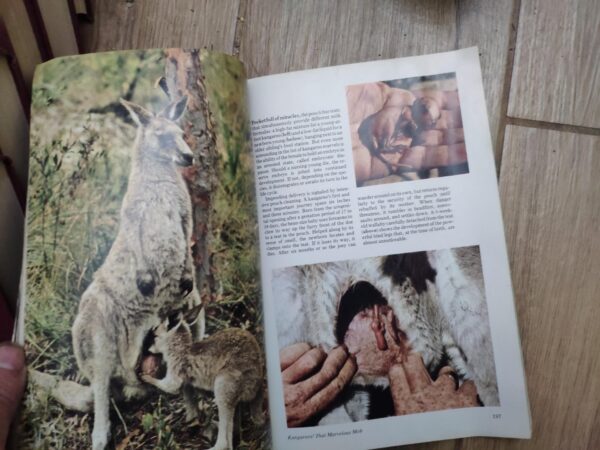 127551694_61a28eff06b059-37324095IMG_20211127_20.jpg National Geographic na engleskom