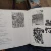 36 zlatno pero beograda 3 medjunarodno bijenale ilustracije