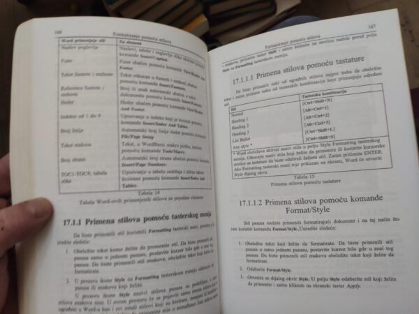 Microsoft Word 7,0 - Jasmina Milovanovic