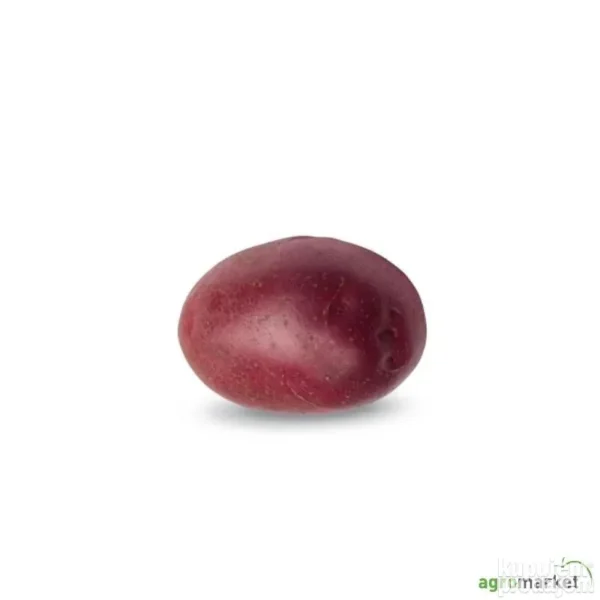 132395746_67bda8505ee9a4-09521128080374_w_800_80.webp Semenski krompir razne sorte uvozni
