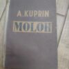 134253219_623637d153e395-58154893IMG_20220319_20.jpg Moloh - A Kuprin