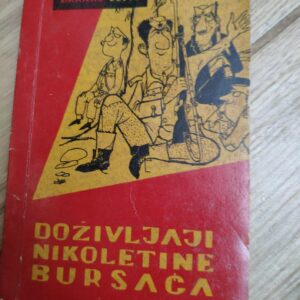 Dozivljaji Nikoletine bursaca - Branko Copic