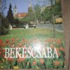 Bekescsaba - tvrd povez