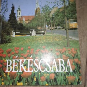 138994291_62bf27aa5ed583-40594215IMG_20220701_18.jpg Bekescsaba - tvrd povez