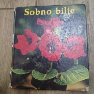 139958131_62e6e665d9e658-31032309IMG_20220731_21.jpg Sobno Bilje - Tomas
