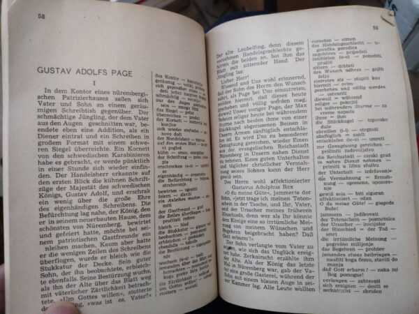 Deutsche Novellen - Nacherzahlt