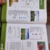 143923497_637130561ca290-95868508IMG_20221113_18.jpg Katalog Proizvoda Sygenta za moje polje najbolje