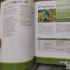 143923497_637130584b18f6-21298232IMG_20221113_18.jpg Katalog Proizvoda Sygenta za moje polje najbolje