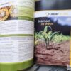 143923497_63713058862e35-34580946IMG_20221113_18.jpg Katalog Proizvoda Sygenta za moje polje najbolje