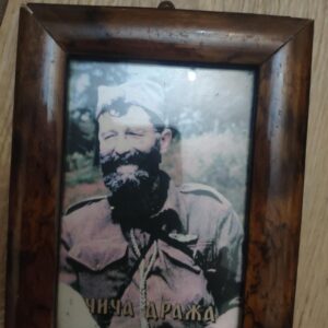 Fotografija cica Draze u ramu