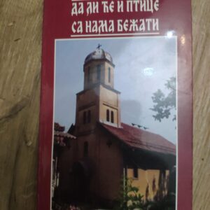 Da li ce i Ptice sa nama Bezati - Vesna T Tomic