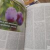 144631323_63869d06eed1b8-53888044IMG_20221129_21.jpg Agro Svet