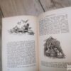 144886613_638d0f8ee87773-32137145IMG_20221204_20.jpg Der Goldene Marchenschalltz