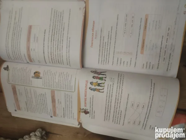 Srpski jezik za 6 razred osnovne skole KLETT