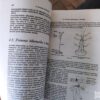 Elementi Teorije Sistema i Informacija - Momcilo Kostic