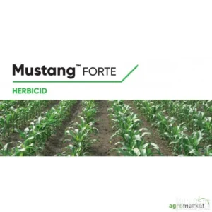 147929525_63ec01ae8b4318-74513992071236_800_800p.webp Mustang forte