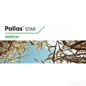 Pallas star