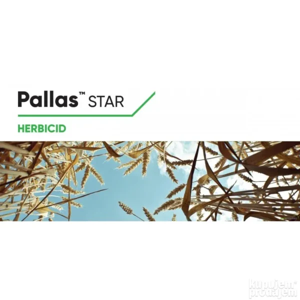 147929600_63ec0265b6be22-56812519071242_w_800_80.webp Pallas star