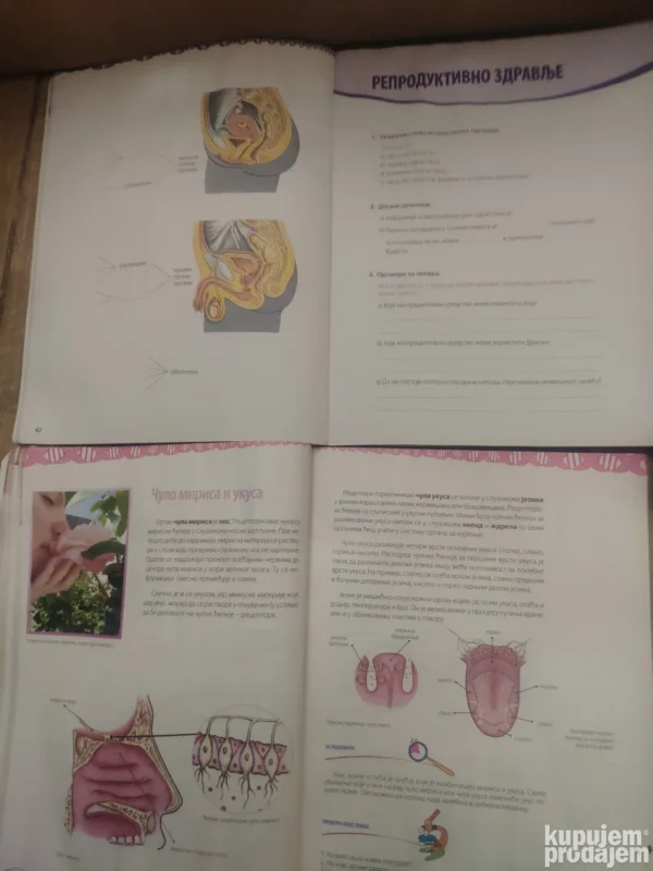 148700951_64010c051f7290-83242868IMG_20230302_21.webp biologija za 7 razred osnovne skole BIGZ