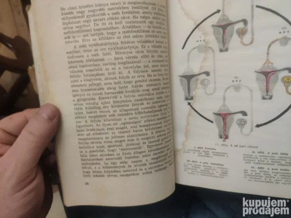 Nemi Eletunk - Dr Palics Miklos
