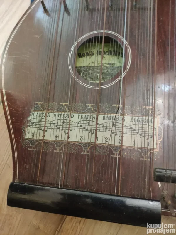 152389366_64745127bbe7e8-13396253c86f6d551c3b6ed.webp Violinska Citra Hopfs Jubelklange