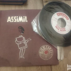 Komplet ploca Asimil ucenje engleskog