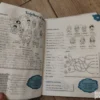 153861584_649f695e98e843-38186152IMG_20230701_01.webp Engleski jezik za 3 razred osnovne skole EASY radna sveska