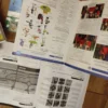 Engleski jezik za 6 razred osnovne skole PROJEKT