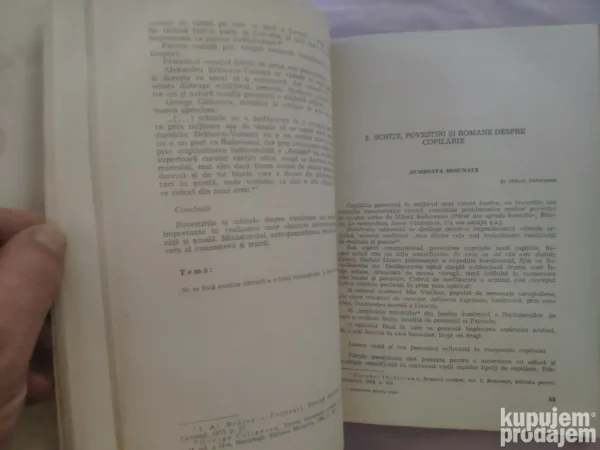 Literatura Pentru Copii