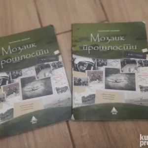 Mozaik proslosti udzbenik Istorija za 8 razred BIGZ