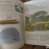 156627235_64fb3bced50ab1-79198464IMG_20230908_15.webp Proslost u Slikama