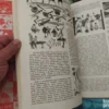 Decja Enciklopedija