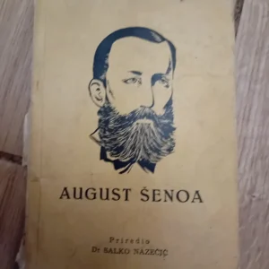 157143575_650b5fee2369f9-1106326820230918_232255.webp August Šenoa