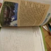 158376450_66c7adab2d9576-52649433IMG_20240822_20.webp Citanka i radna sveska za srpski jezik 4 razred Eduka