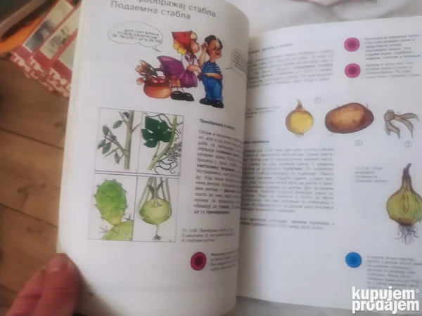 158427721_653444311619d8-41703239IMG_20231021_22.webp Biologija za 5 razred osnovne skole