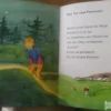 Feengeschichten - Brigitte Kolloch