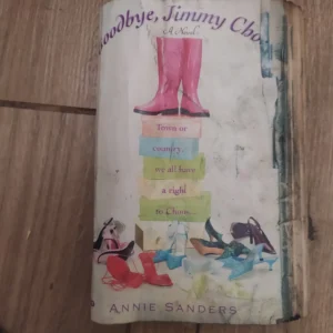 158668315_653bfbbb22c028-62933094IMG_20231027_19.webp Goodbay Jimmy Choo - Annie Sanders