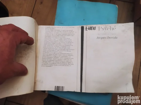 Psyche - Jacques Derrida