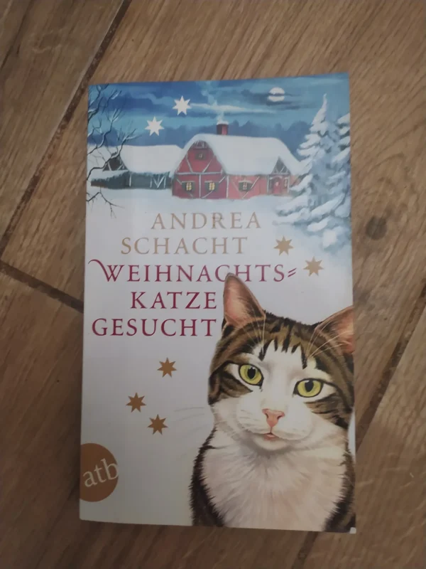 158835074_654185df978514-62115414IMG_20231031_22.webp Andrea Schacht - Weihnachts Katze Gesucht