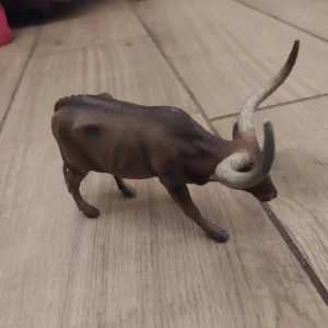 158836294_654192bce4a133-71807966IMG_20231031_22.webp Figura Ankole Watusi Cow