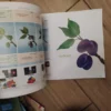 Fitofert katalog 2020